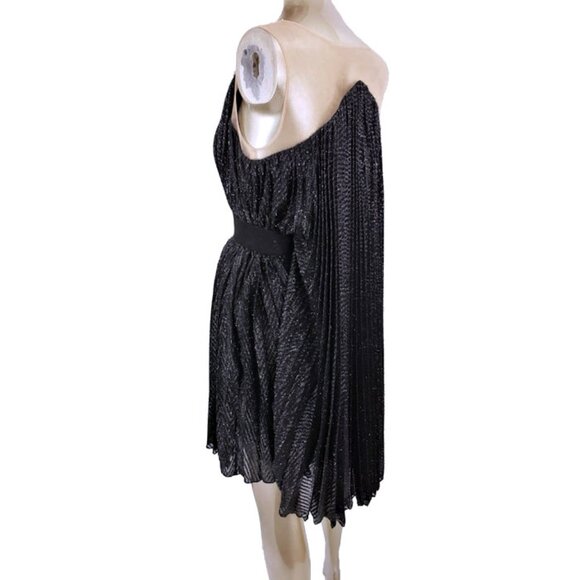 NWT MARIA LUCIA HOHAN Limited Series Black Metallic Knife Pleated Party Dress - Picture 7 of 12